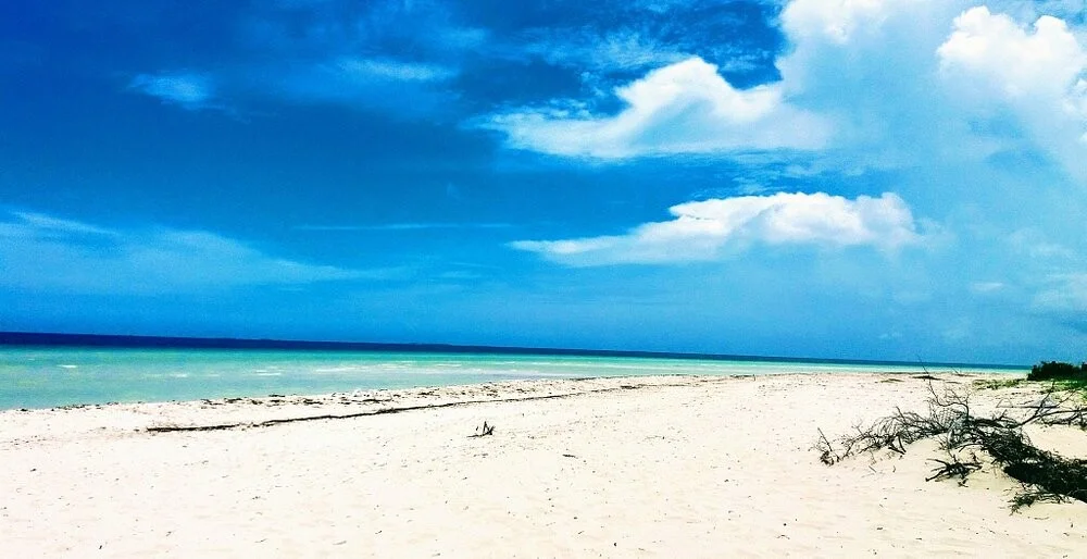 Cayo Jutías