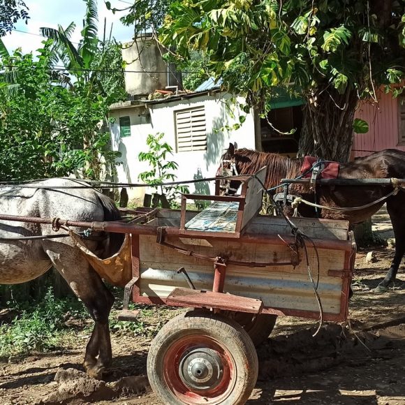 Escursione Cuba a Viñales 