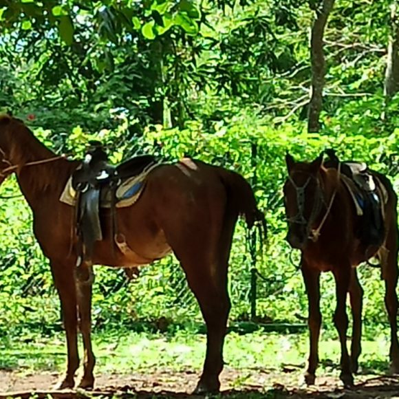 Escursione Cuba a Viñales 