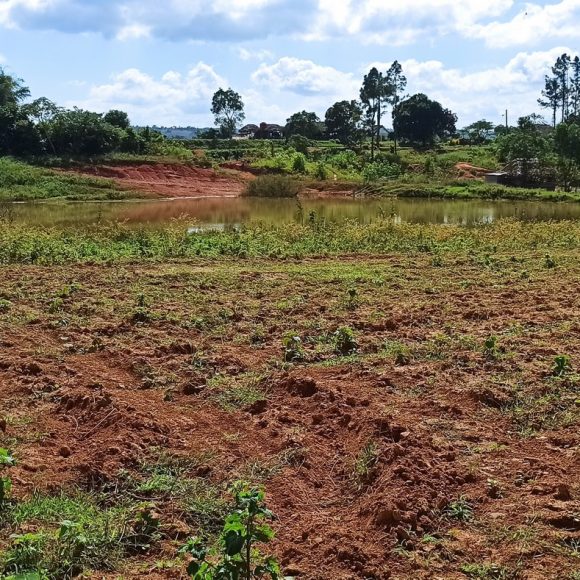Escursione Cuba a Viñales 