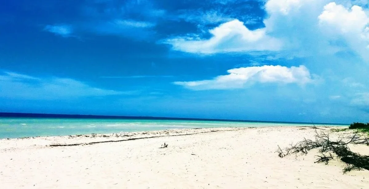 Cayo Jutías
